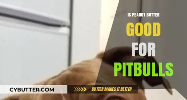 Can Pitbulls Eat Peanut Butter? Benefits, Risks, and Safe Serving Tips
