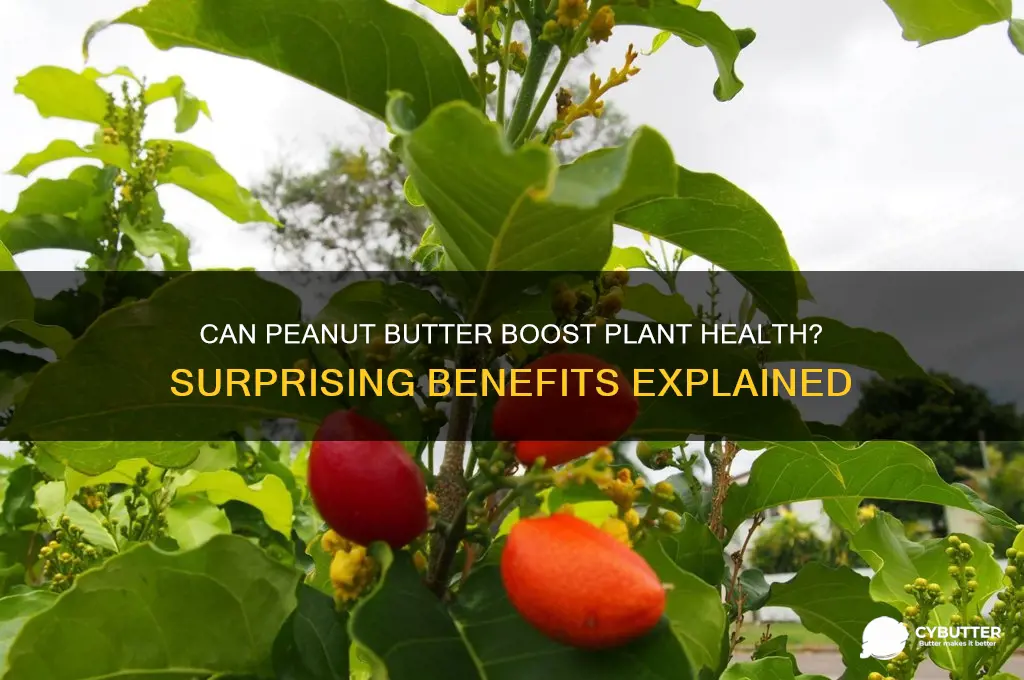 is peanut butter good for plants