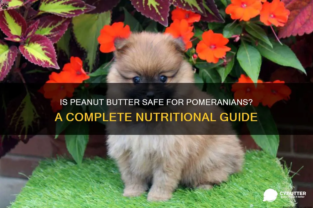is peanut butter good for pomeranians