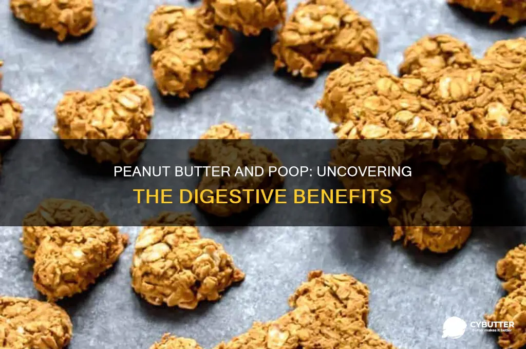is peanut butter good for pooping