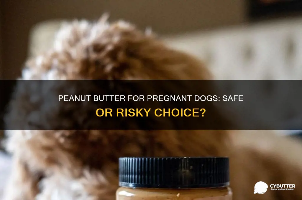is peanut butter good for pregnant dogs