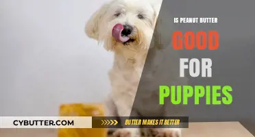 Is Peanut Butter Safe for Puppies? Benefits, Risks, and Best Practices