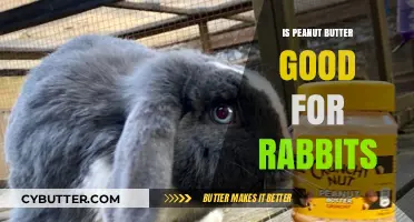 Is Peanut Butter Safe for Rabbits? A Nutritional Guide