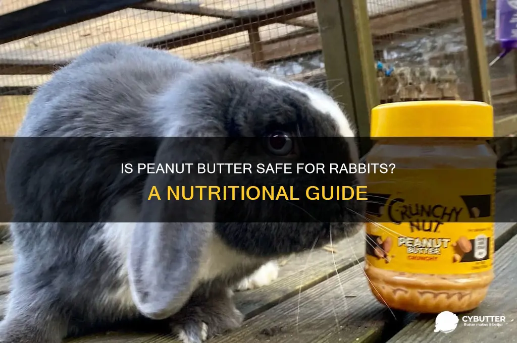 is peanut butter good for rabbits