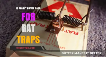 Peanut Butter in Rat Traps: Effective Bait or Risky Choice?