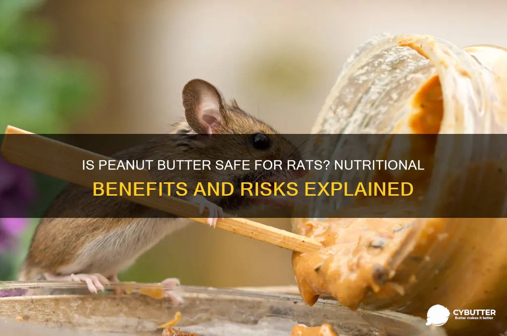 is peanut butter good for rats