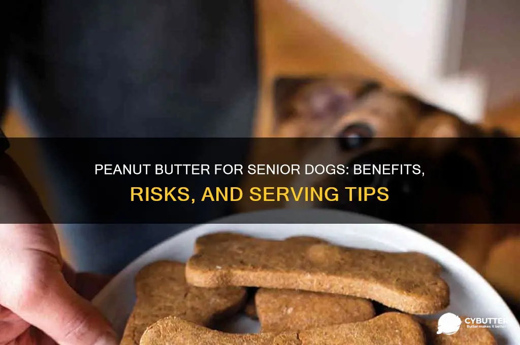 is peanut butter good for senior dogs