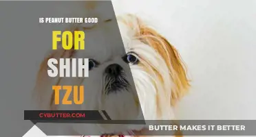 Peanut Butter for Shih Tzu: Safe, Healthy, or Harmful?