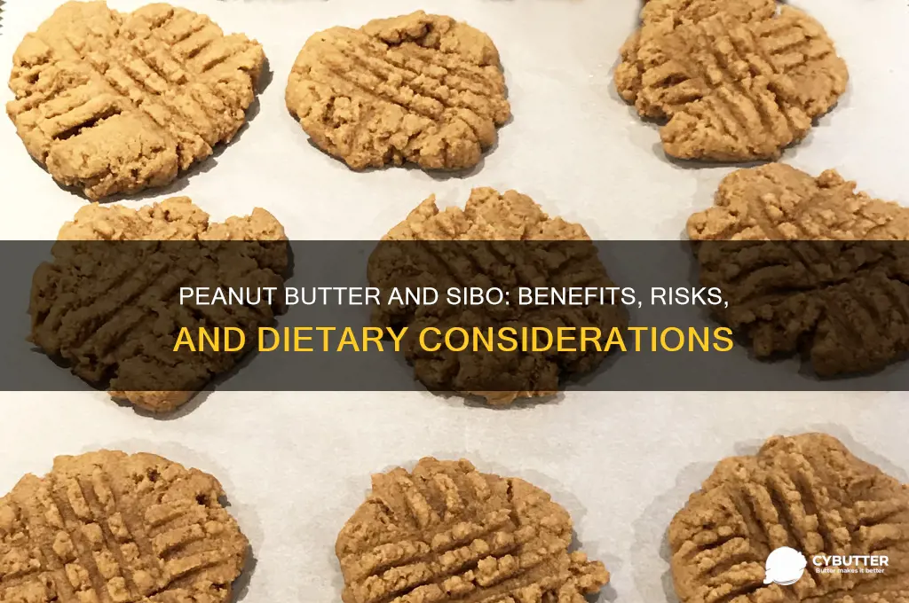 is peanut butter good for sibo