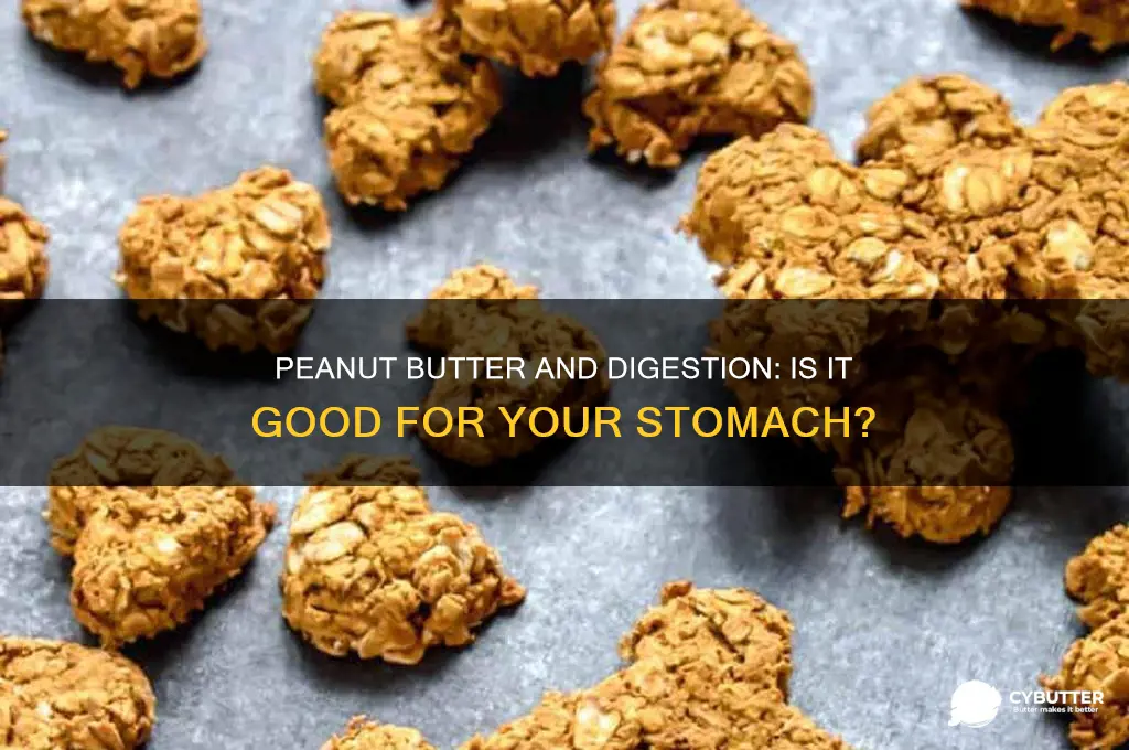 is peanut butter good for stomach