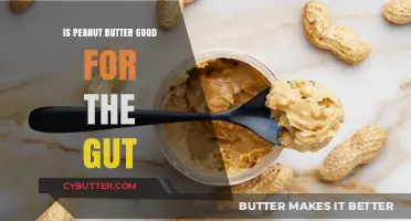 Peanut Butter and Gut Health: Benefits, Risks, and Digestive Impact