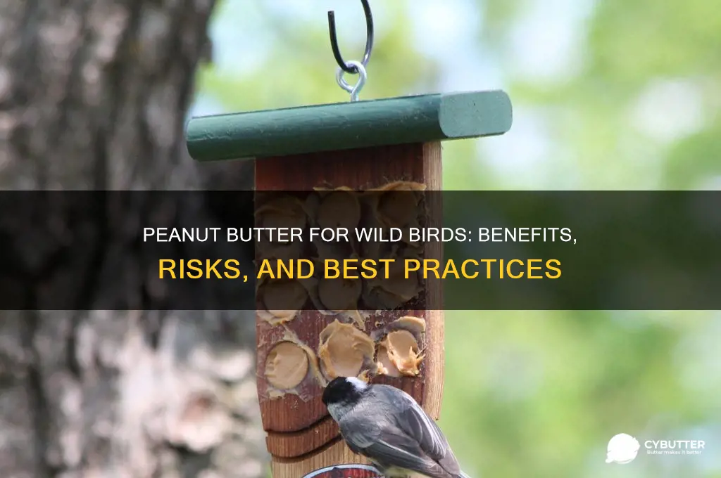 is peanut butter good for wild birds