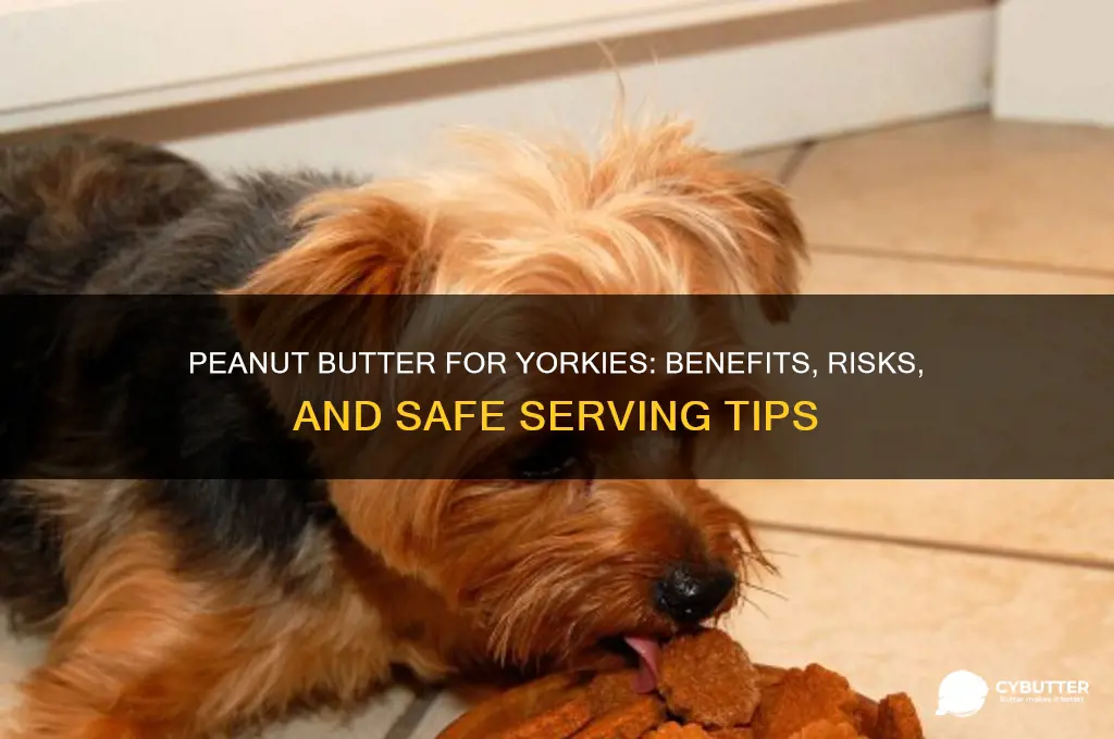 is peanut butter good for yorkies