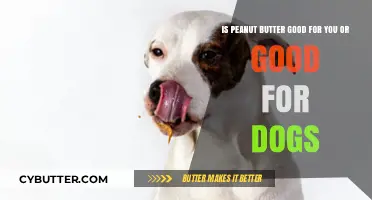 Peanut Butter: Healthy Human Snack or Safe Dog Treat?