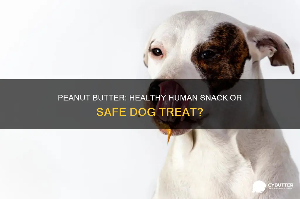 is peanut butter good for you or good for dogs