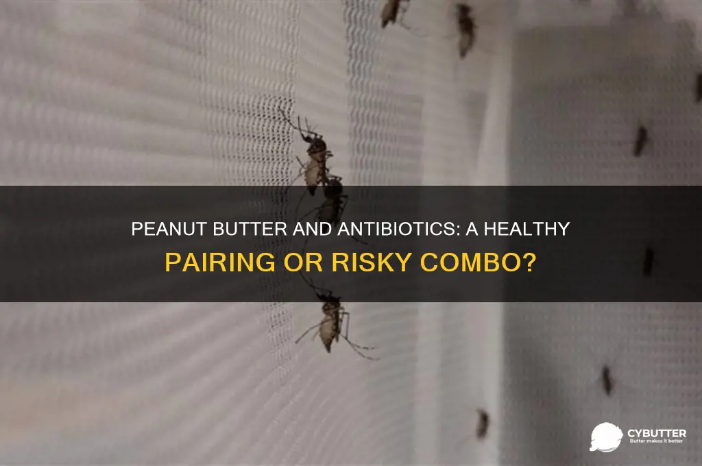 is peanut butter good for you when you