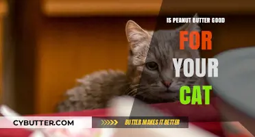 Can Cats Eat Peanut Butter? Safety and Health Considerations Explained