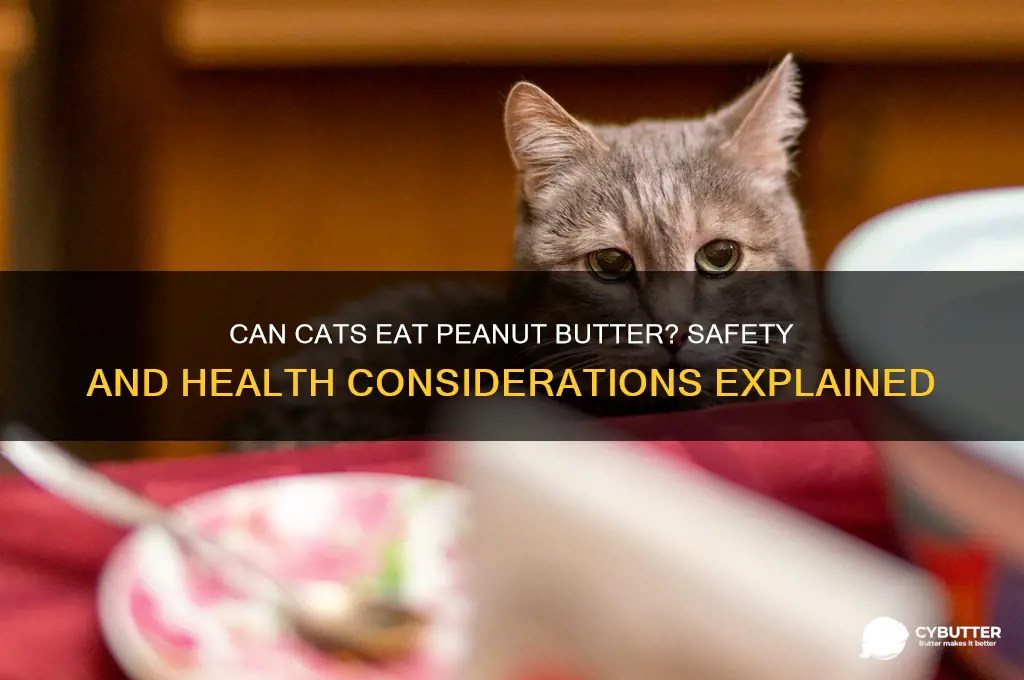 is peanut butter good for your cat