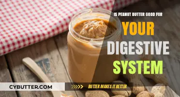 Peanut Butter and Digestion: Benefits, Risks, and Gut Health Insights