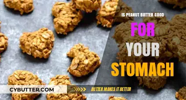 Peanut Butter and Digestive Health: Benefits or Bloating for Your Stomach?