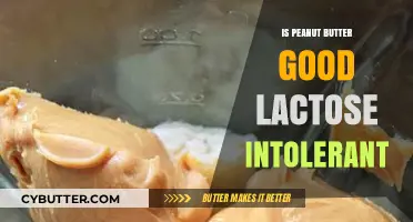 Peanut Butter: A Lactose-Free Delight for Intolerant Foodies