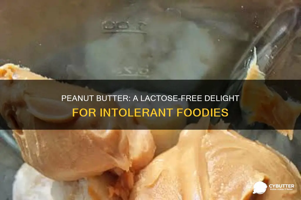 is peanut butter good lactose intolerant