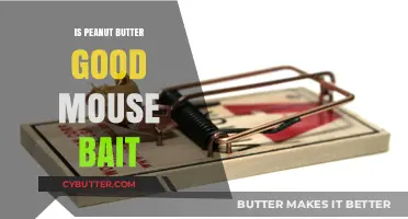 Peanut Butter as Mouse Bait: Effective Trapping Tips and Tricks