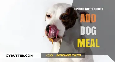 Peanut Butter for Dogs: Healthy Addition or Risky Treat?