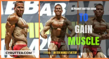 Peanut Butter for Muscle Gain: Benefits, Nutrition, and Effective Use