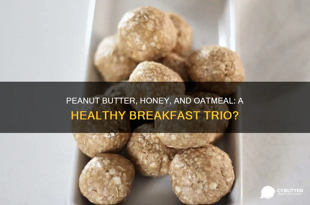 is peanut butter honey and oat meal good for you
