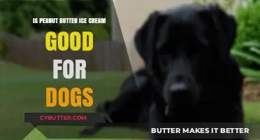 Can Dogs Eat Peanut Butter Ice Cream? A Vet's Advice