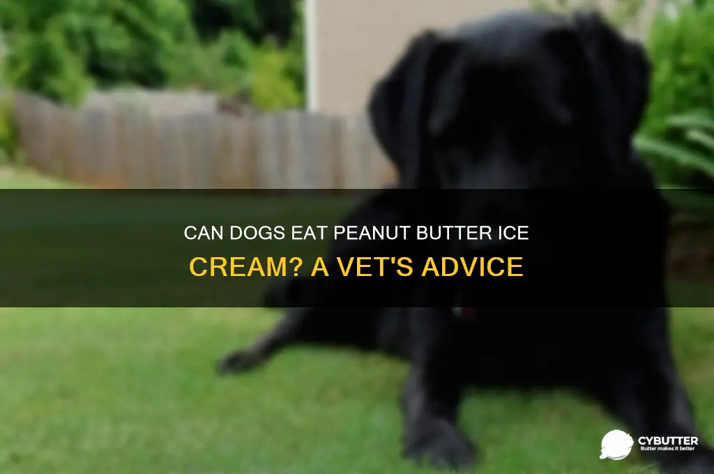 is peanut butter ice cream good for dogs