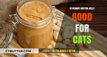 Can Cats Eat Peanut Butter Jelly? Vet-Approved Facts and Risks