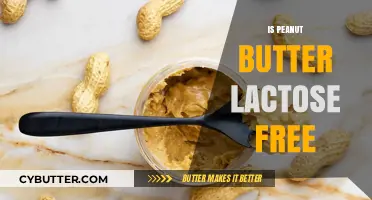 Peanut Butter: A Lactose-Free Delight or Hidden Dairy Trap?