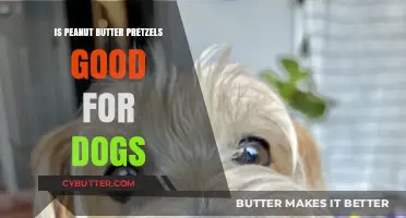 Can Dogs Eat Peanut Butter Pretzels? A Safe Snack Guide