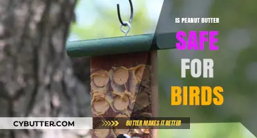 Can Our Feathered Friends Enjoy Peanut Butter Safely?