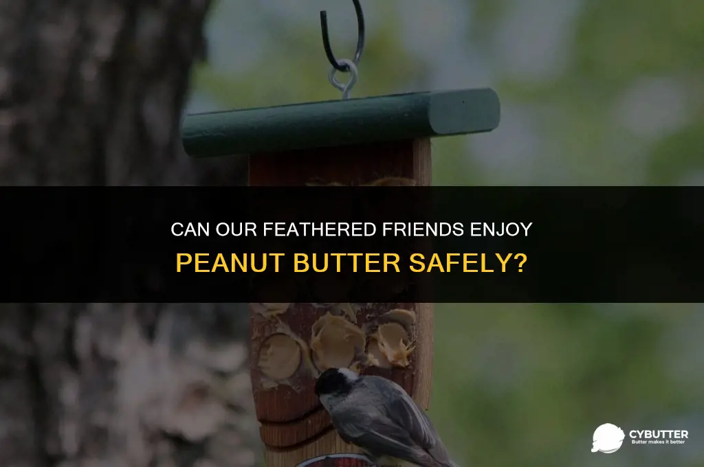 is peanut butter safe for birds