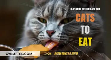 Exploring the Safety of Peanut Butter for Feline Consumption