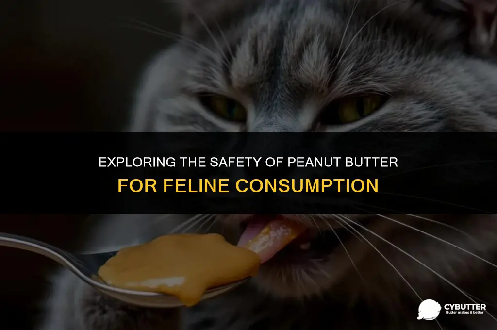is peanut butter safe for cats to eat