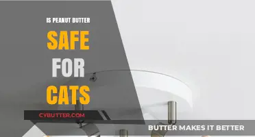 Exploring the Safety of Peanut Butter for Feline Friends