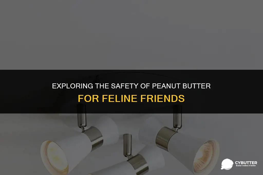 is peanut butter safe for cats