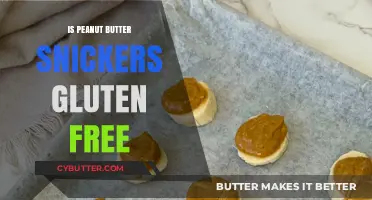 Exploring the Ingredients: Is Peanut Butter Snickers Gluten-Free?