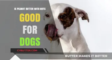 Peanut Butter with Nuts: Safe or Harmful for Dogs?