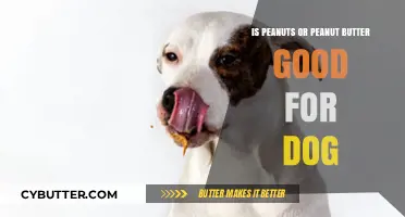 Peanuts vs. Peanut Butter: What's Safe and Healthy for Dogs?