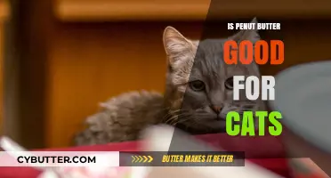 Is Peanut Butter Safe for Cats? What Pet Owners Need to Know