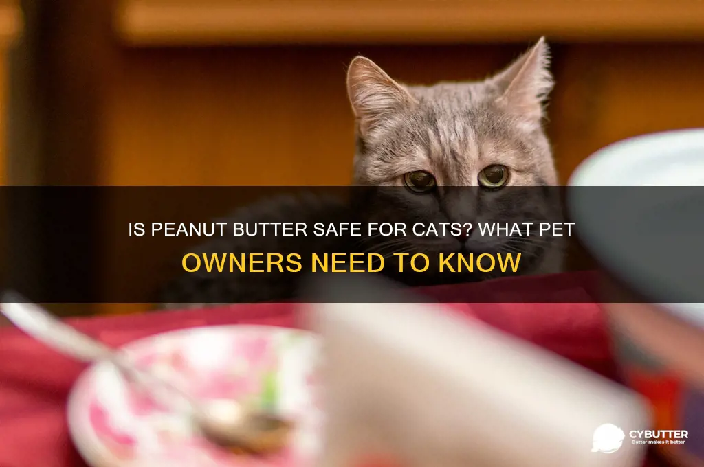 is penut butter good for cats