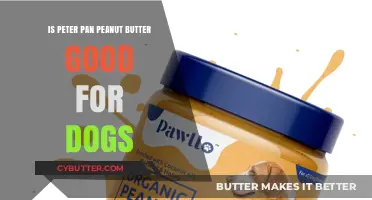Is Peter Pan Peanut Butter Safe for Dogs? Find Out Now