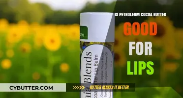 Petroleum vs. Cocoa Butter: Which Lip Balm Ingredient is Best?