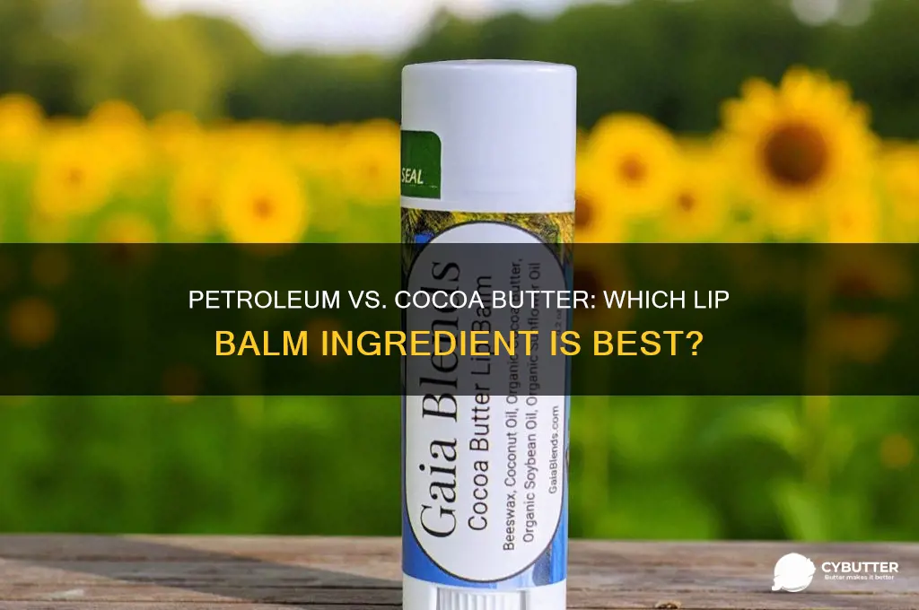 is petroleum cocoa butter good for lips