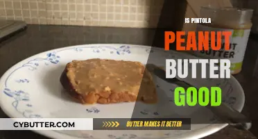 Is Pintola Peanut Butter Good? A Nutty Review and Analysis